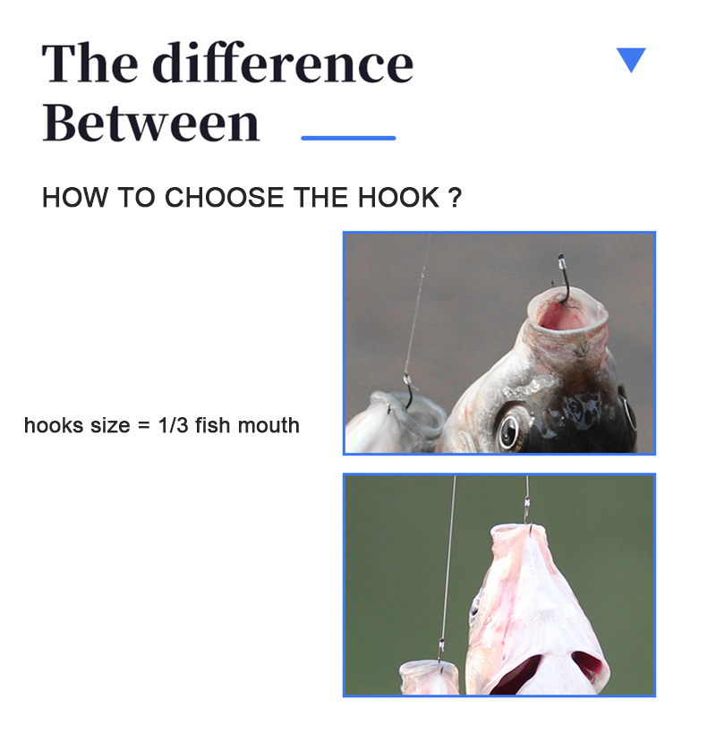10 paia di ami da pesca con ti - Fishing Hook Assortment recensione e prezzo